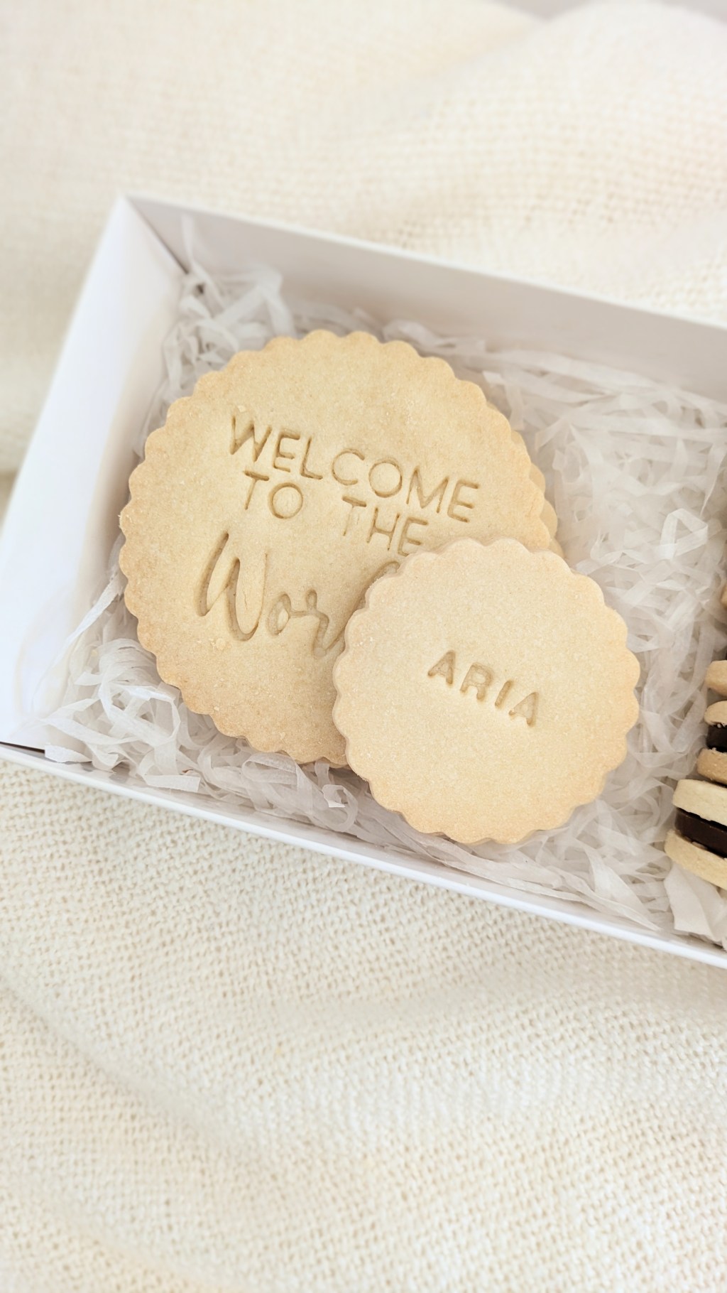 Welcome to The World&nbsp;Box